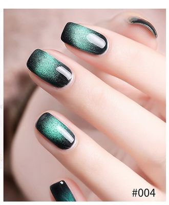 6 Colors 9D Cat Eye Nail Polish