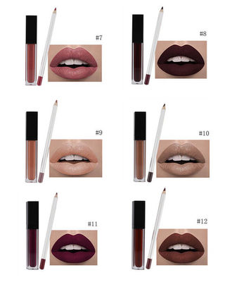 MSDS 12 Colors Private Label Lipstick With Lip Pen