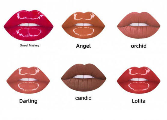 Waterproof Vegan Plumping Private Label Lip Gloss With No Label