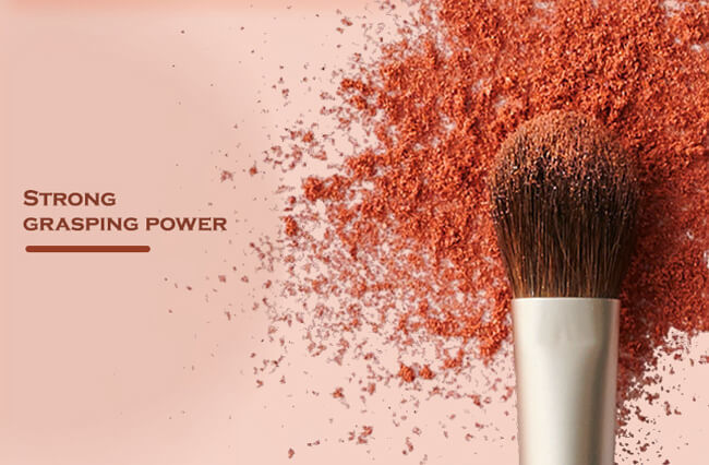 10 Pieces OEM Full Professional Makeup Kit With Brushes